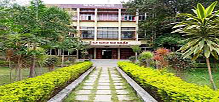 Sharnbasva University